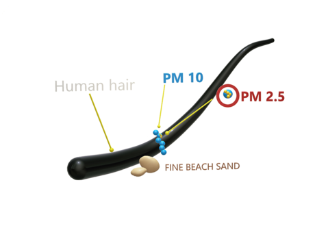 pm25_particulate_matter.png